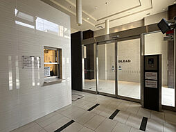 19 / 33