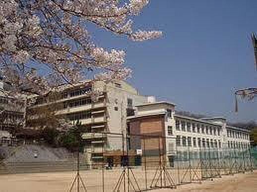 画像17:神戸市立夢野中学校