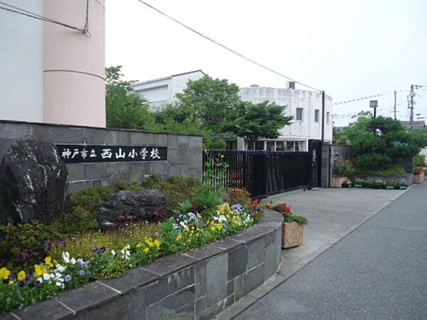 画像11:神戸市立西山小学校