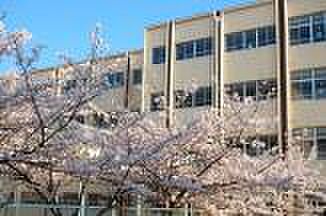 周辺：神戸市立桜の宮小学校