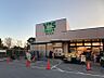 周辺：ワイズマートワイズディスカ香澄店まで　600m　徒歩約8分