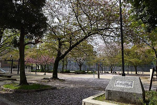 プレサンス京町堀 ｜大阪府大阪市西区京町堀2丁目(賃貸マンション1LDK・7階・35.86㎡)の写真 その30