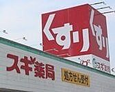 スギドラッグ　おしろ下店 460m