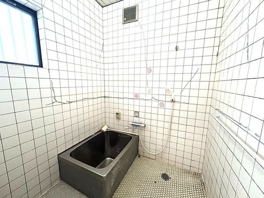 Image 21