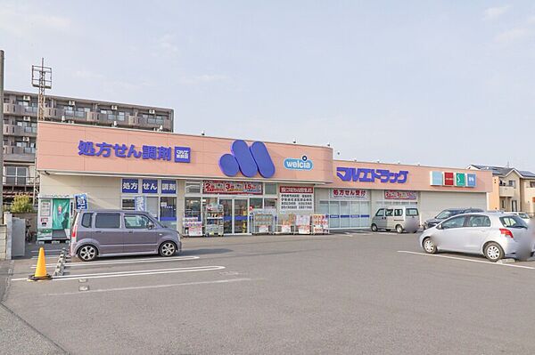 画像20:マルエドラッグ昭和店 401m
