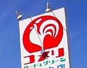コメリハード＆グリーン古河坂間店 1745m