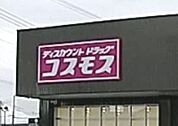 ディスカウントドラッグコスモス女沼店 881m