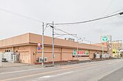 エコスTAIRAYA古河店 250m