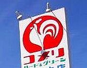コメリハード＆グリーン古河坂間店 515m