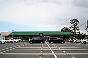 FUJIスーパー鶴嶺店約600m（徒歩約8分）