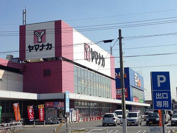 画像15:ヤマナカ 柴田店（602m）