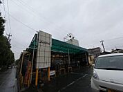 スーパーヤマダイ アオヤマ店（648m）