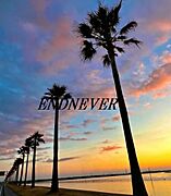 千葉のカリフォルニアに似た場所があります！