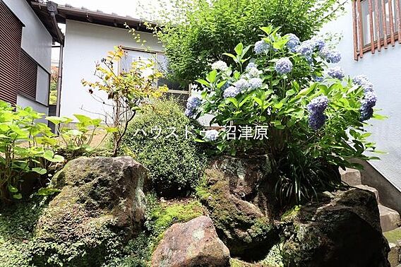 庭