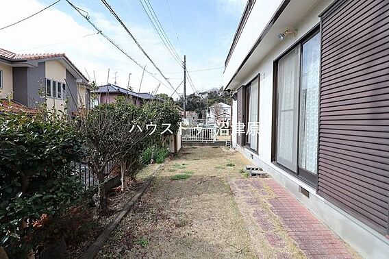 庭