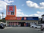 ドラッグ新生堂 五条店（800m）