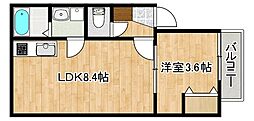コートスタイル二日市駅前 1LDKの間取図画像