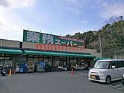 業務スーパー奈佐原店 496m