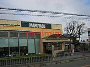 マルヤス 300m