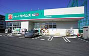 ドラッグセイムス 小平小川店（363m）