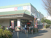 ピーコックストア 東小金井店★（282m）
