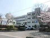 周辺環境-中学校(800m)小針中学校