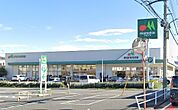 周辺環境-スーパー(600m)マルエツ朝霞溝沼店