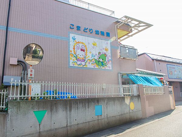 周辺を拡大表示