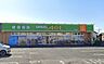 周辺：周辺環境-ドラッグストア(590m)ドラッグエース中福岡店