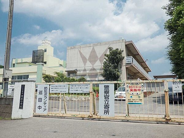 周辺を拡大表示