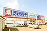 周辺：周辺環境-ドラッグストア(290m)ウエルシア東大宮店