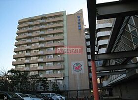 メインステージ住吉 802 ｜ 東京都江東区住吉２丁目2-8（賃貸マンション1K・8階・24.74㎡） その25