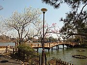 洗足池公園