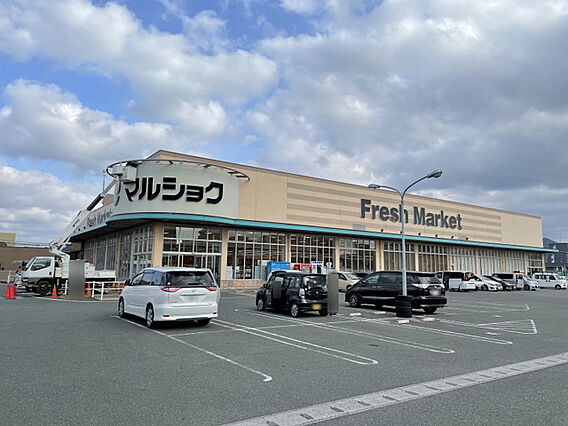 マルショク今宿