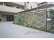 植栽