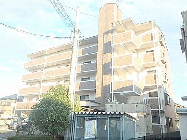 滋賀県野洲市市三宅(賃貸マンション2LDK・3階・53.00㎡)の写真 その12