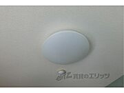 照明