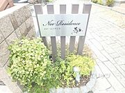 植栽