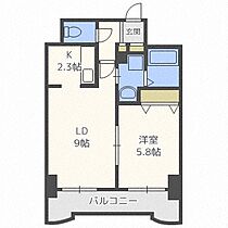 ティアラ中島公園ウエストサイド  ｜ 北海道札幌市中央区南十一条西6丁目（賃貸マンション1LDK・2階・39.07㎡） その2