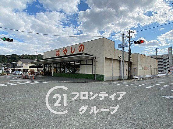 はやしの田寺店...