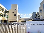 八尾市立上之島中学校 徒歩4分。 270m