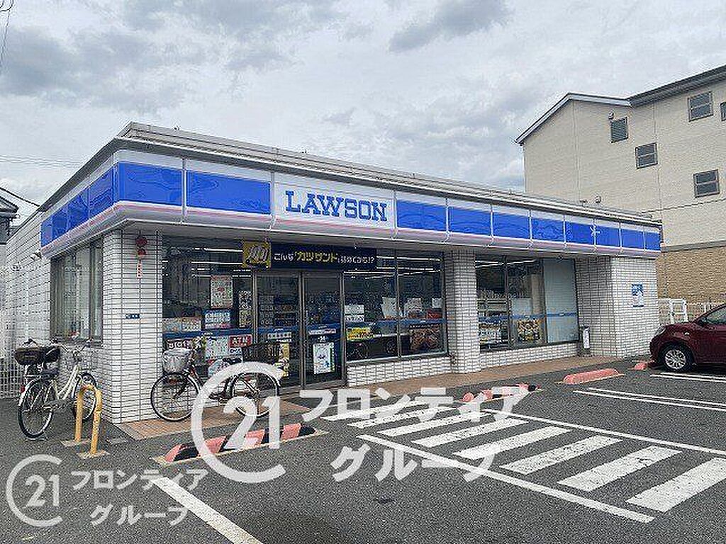 Image 6