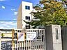 周辺：八尾市立八尾小学校 徒歩8分。 590m