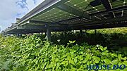 太陽光発電システム付き