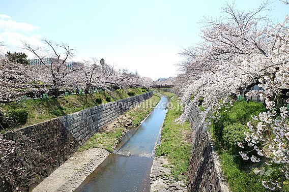 山崎川の外観