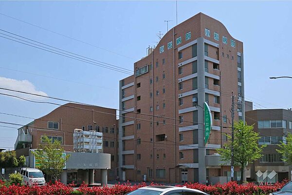 周辺を拡大表示