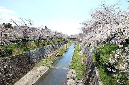 山崎川の外観