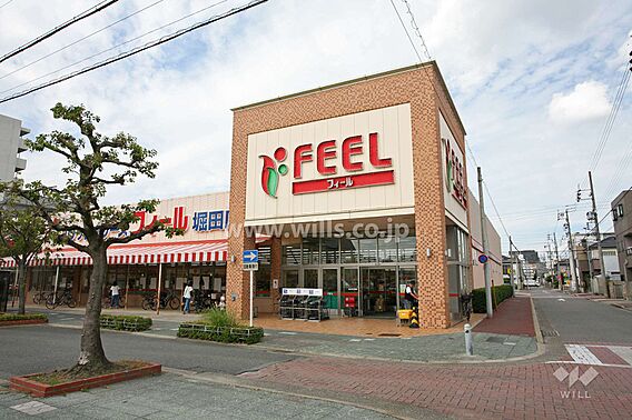フィール(堀田...
