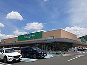 スーパー「ツルヤ　並柳店まで1300m」