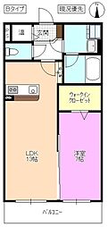 ファインステイジ松本 1LDKの間取図画像